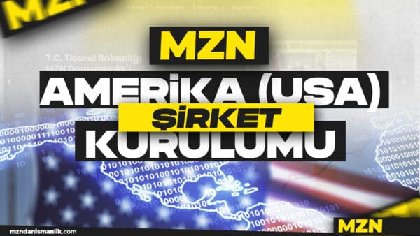 amerika sirket kurulumu