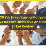 Anonim Şirket Rehberi